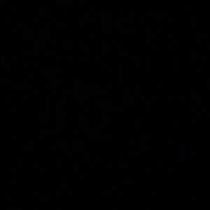 Meet your Posher, Ellie